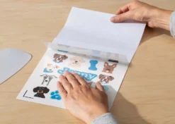 Cricut Adesivi Impermeabili e Stampabili formato A4 Trasparente Olografico 5 fogli