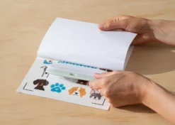 Cricut Adesivi Impermeabili e Stampabili formato A4 Trasparente Olografico 5 fogli