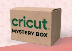 Cricut Mystery Box