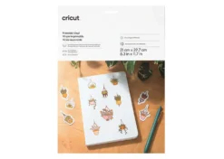 Cricut Vinile Stampabile Argento 10 Fogli