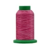 Filato Da Ricamo Isacord 1000mt 100% Poliestere colore 9923