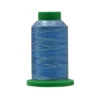 Filato Da Ricamo Isacord 1000mt 100% Poliestere colore 9605