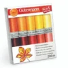 Gutermann Kit 10 Filati da Ricamo Rayon 40