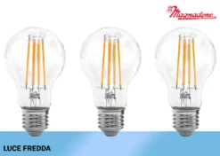 Magnadyne Lampadina LED Filamento A60 FRD Set 3 Pezzi