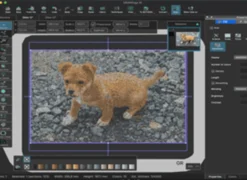 Software DRAWings XII PRO