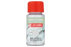 TAC Vernice Acrilica Argento per Interni ed Esterni 50ml