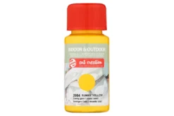 TAC Vernice Acrilica Giallo Sole per Interni ed Esterni 50ml